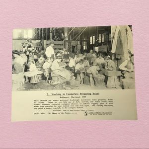 Working in Canneries: Women and Children Prepare Beans Photography